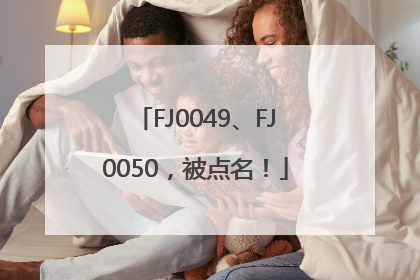 FJ0049、FJ0050，被点名！