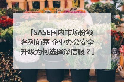 SASE国内市场份额名列前茅 企业办公安全升级为何选择深信服？