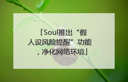Soul推出“假人设风险提醒”功能，净化网络环境